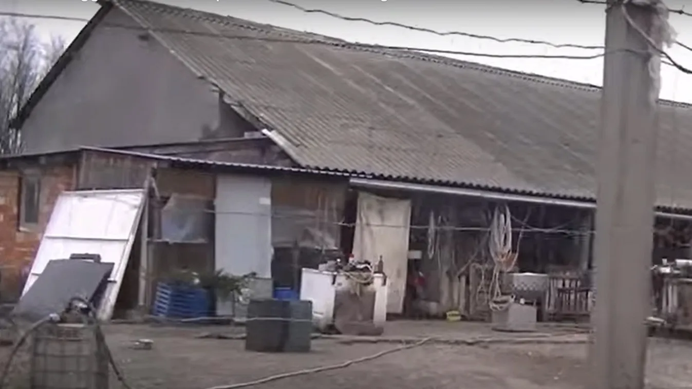 Rendőrséggel közösen akciózott a Nébih a horrortanyán