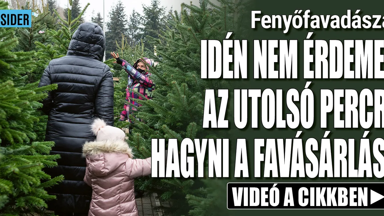 Nem érdemes az utolsó percre hagyni a fenyővásárlást – Videó