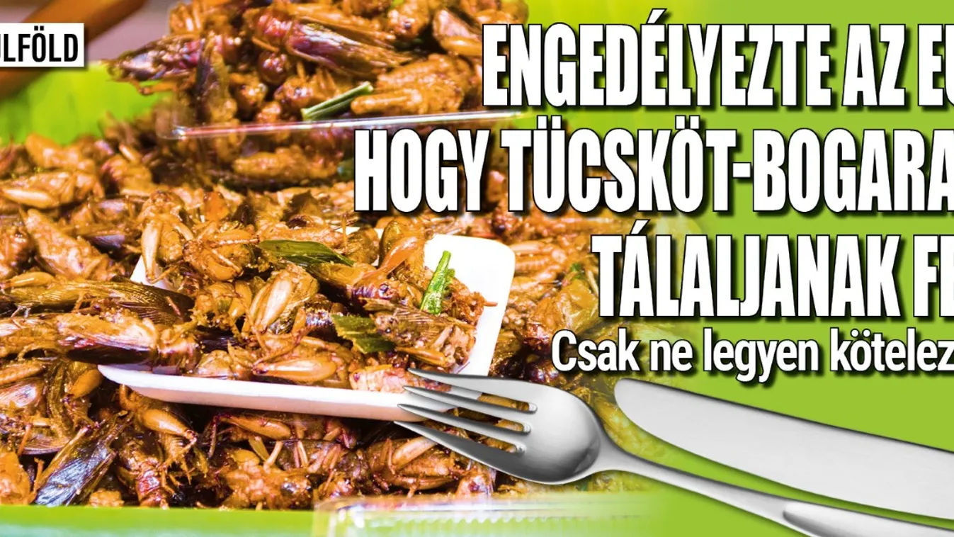 Engedélyezte az EU, hogy tücsköt-bogarat tálaljanak fel