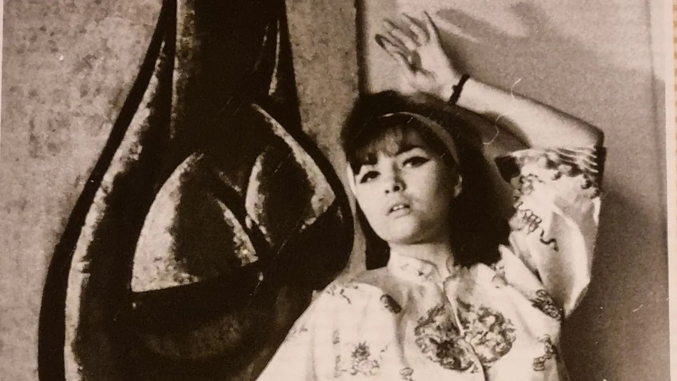 Ez lett a sorsa Pécsi Ildikó imádott kertjének - Fotó