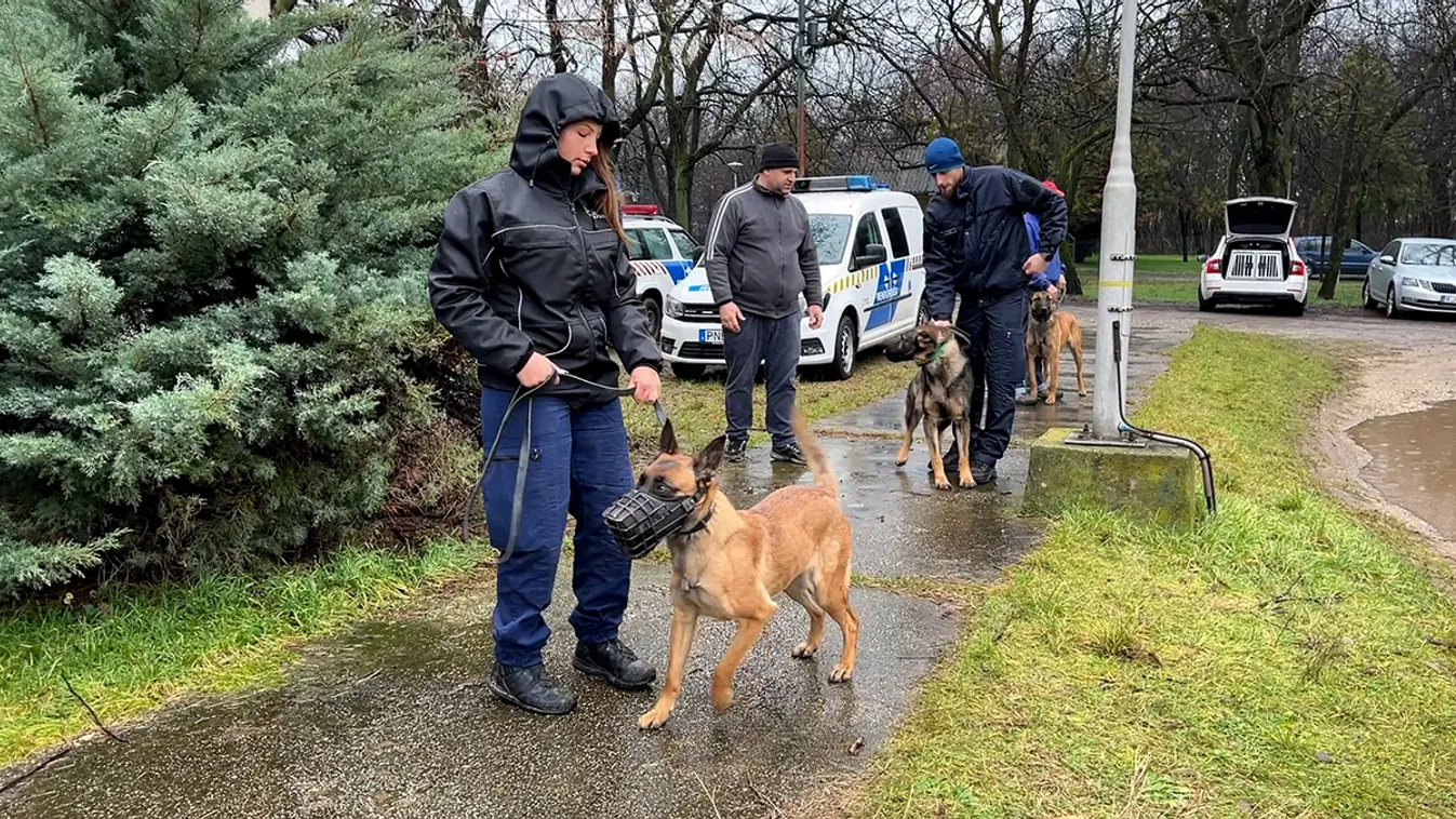 Így lesz egy négylábúból szolgálati kutya a rendőrségen
