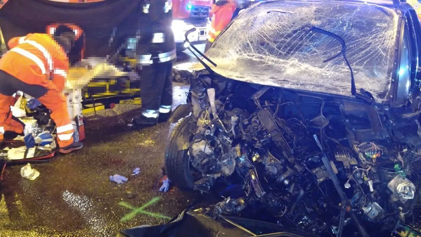 Állatvédők mentették a horrorbalesetben elhunyt férfi ebét