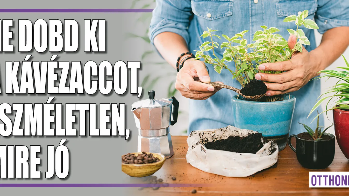 Ne dobd ki a kávézaccot, eszméletlen, mire jó