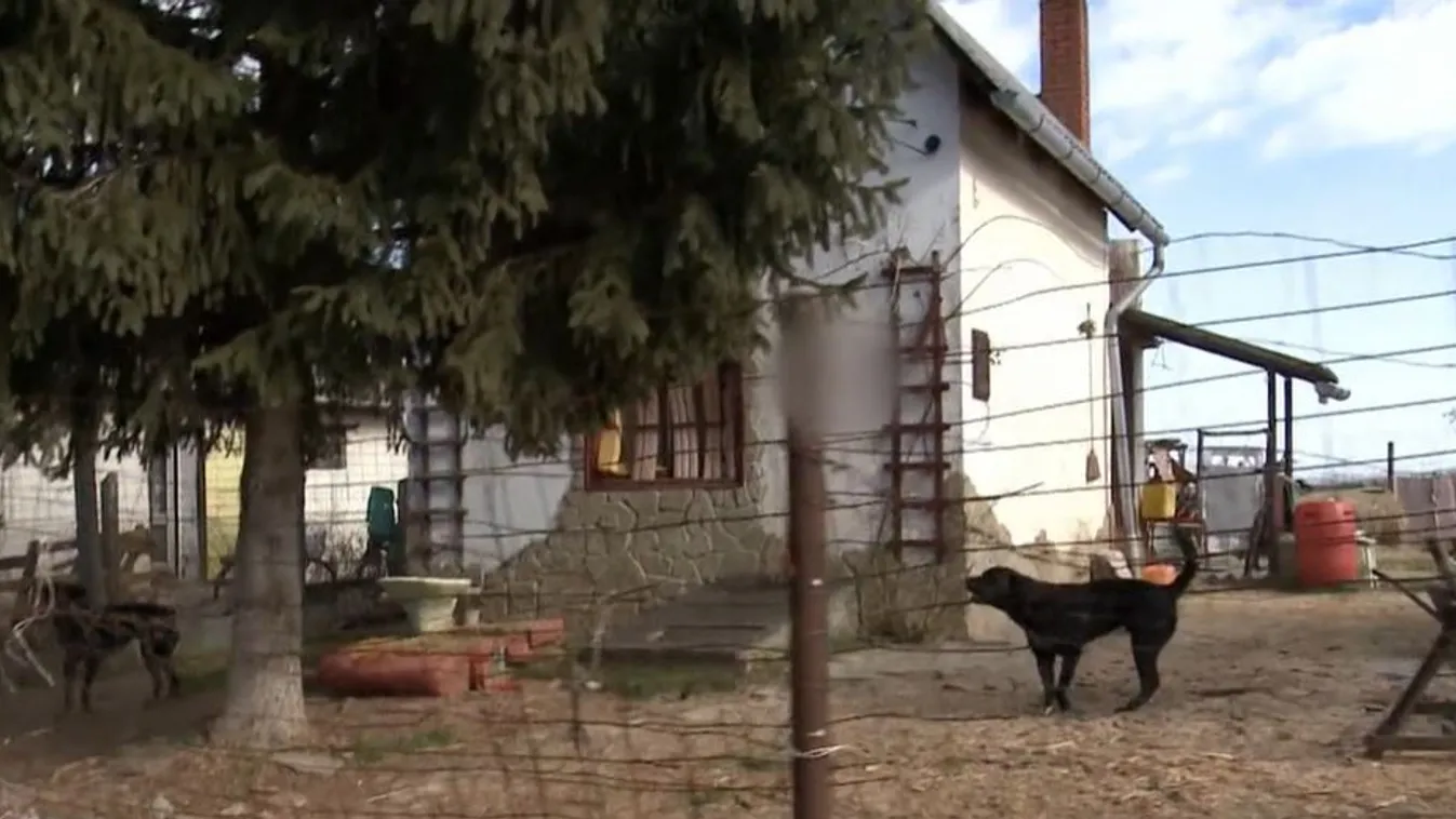 Vödörbe szülte meg gyermekét a kaposhomoki nő