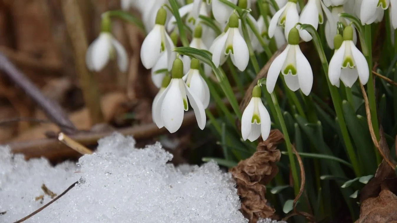 Itt az előrejelzés: ilyen idő vár ránk februárban