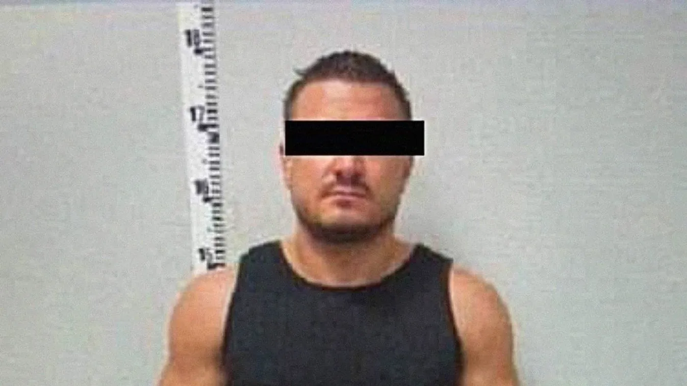 Elmegyógyintézetbe küldték a rendőrgyilkos férfit
