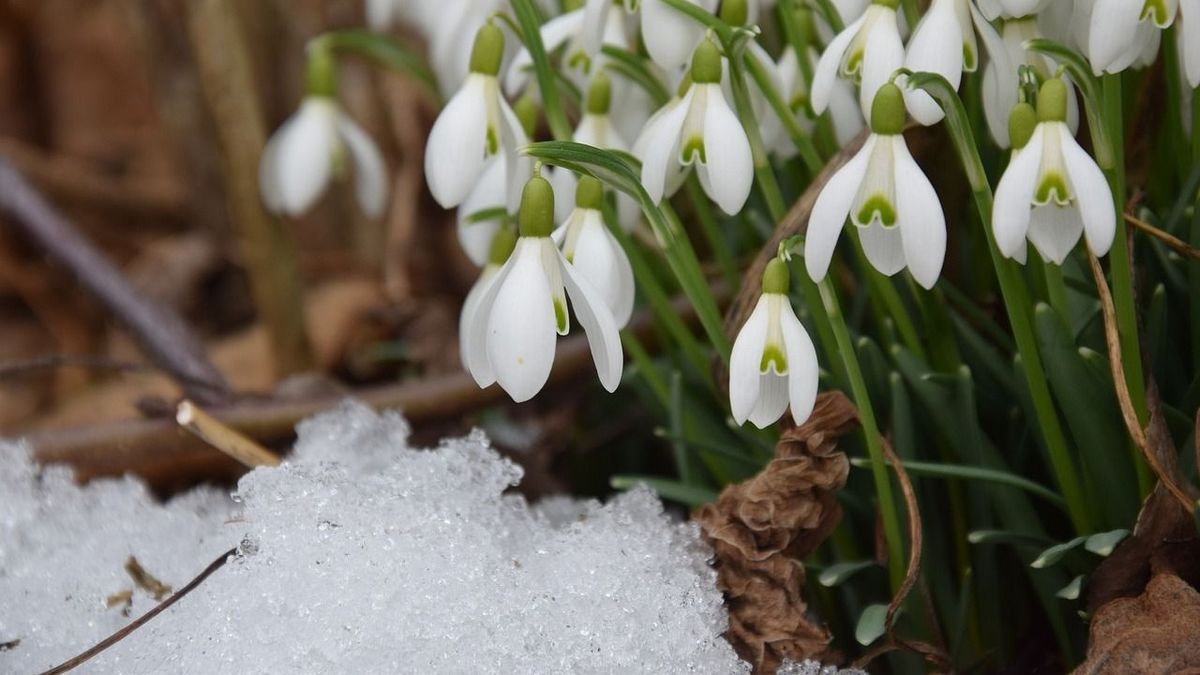 Itt a februári időjárás-előrejelzés: ez vár ránk a tél utolsó hónapjában