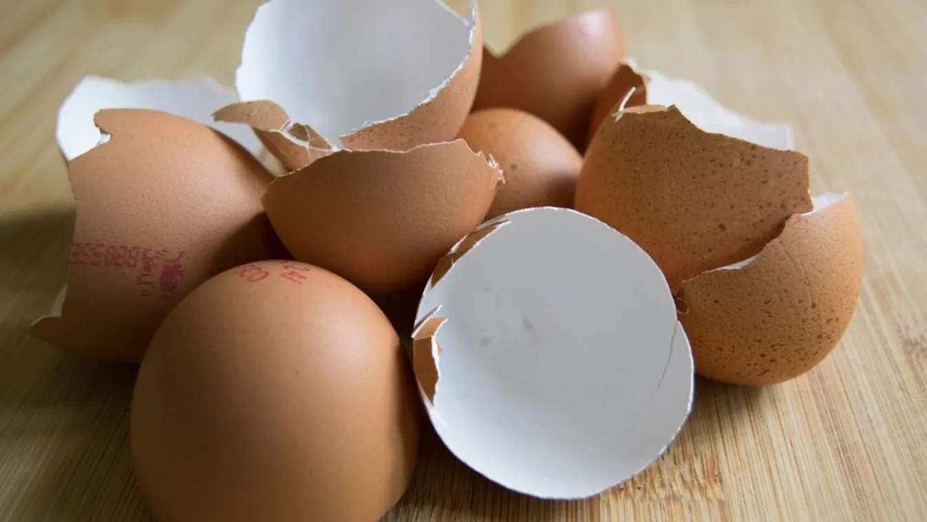 Kezdd el gyűjteni a tojáshéjat: Fantasztikus, mire jó