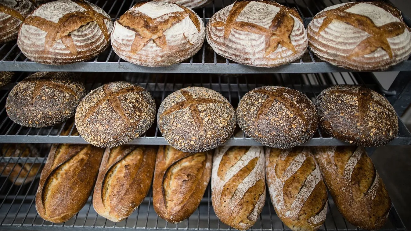 Példa nélküli kenyérhiány lesz, ha nem lép a  kormány