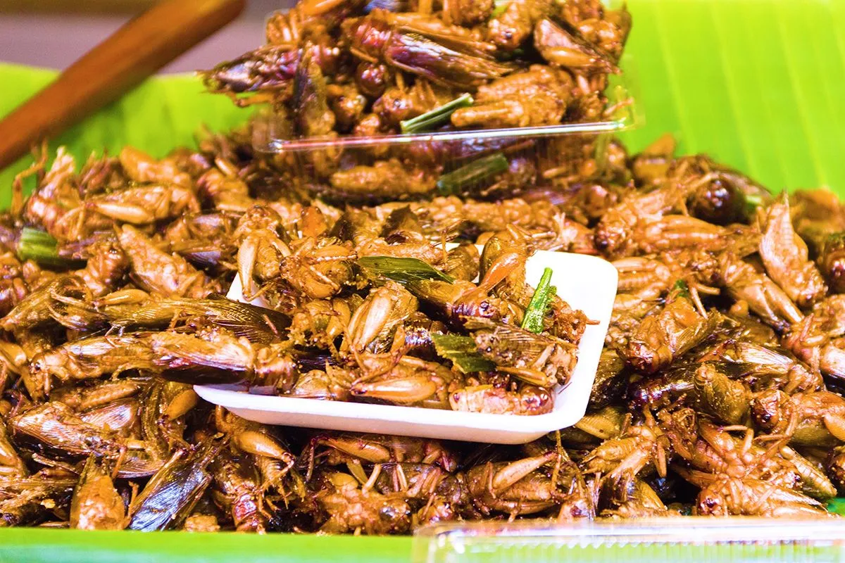 Exotic,Asian,Food,,Insect-based,Food,(protein,Nutrition).,Thai,Ancient,Cuisine.