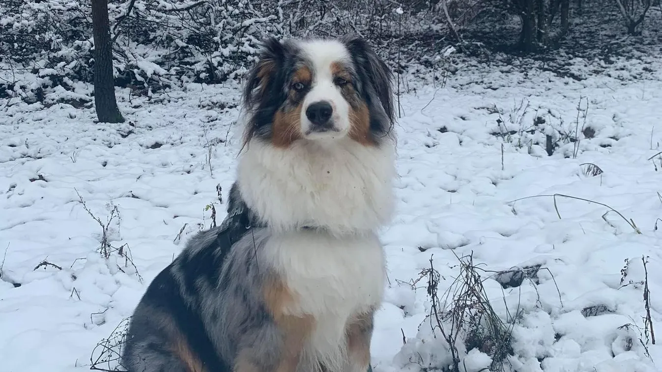 Végre leesett a hó, találtunk egy csendes helyet a kirándulásra