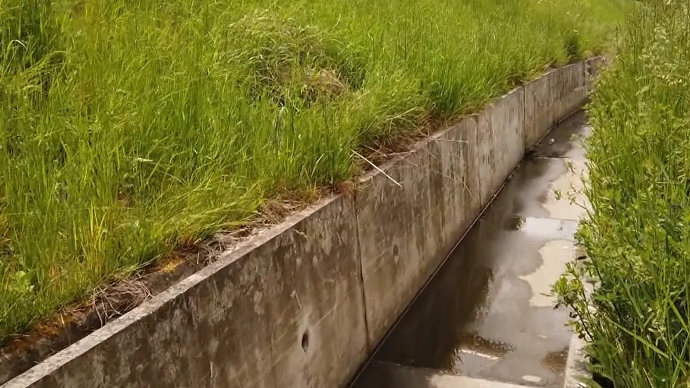 A fejében lévő hangok miatt gyilkolt egy férfi Esztergomban