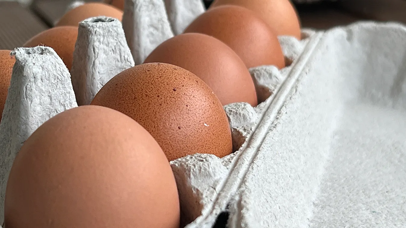 Újabban tojást csempésznek az amerikai-mexikói határon