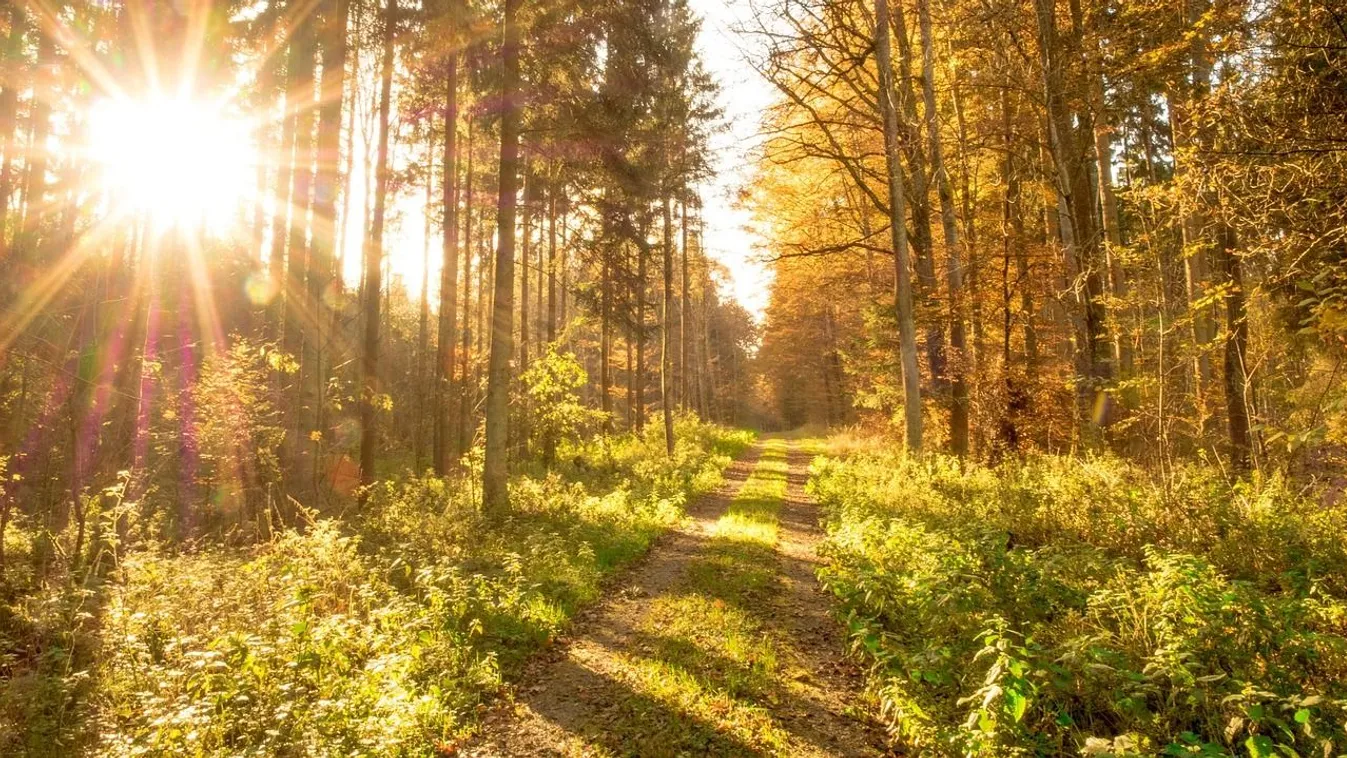  Tavaszi időjárással indul az új év