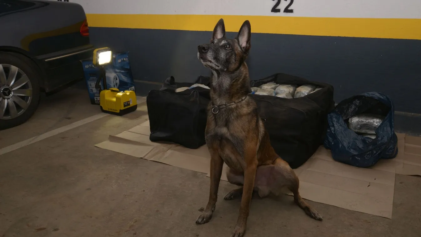 Durva dolgot találtak a szegedi férfi kocsijában