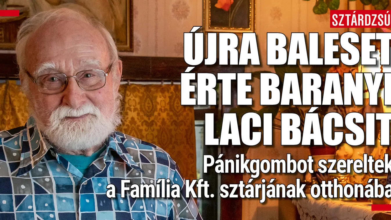 Újabb szerencsétlenség érte a Família Kft. sztárját