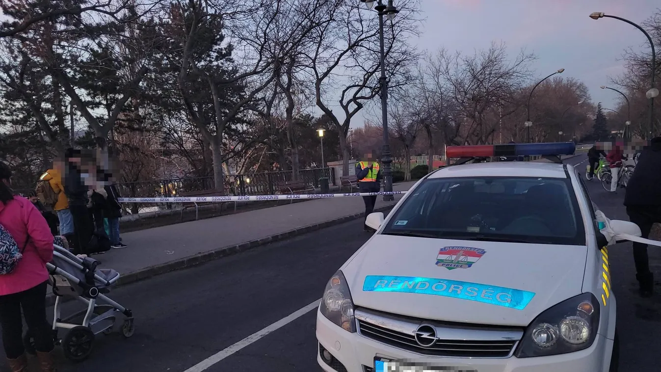 Vaddisznó miatt lezárták a Margitsziget