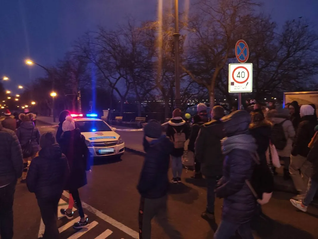 Margitsziget, vaddisznó