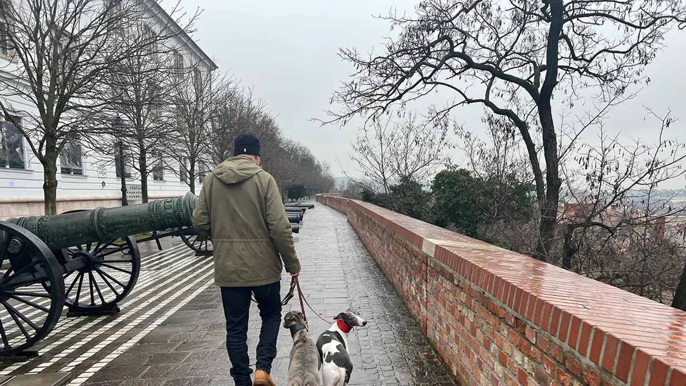 Így védekeznek a kutyagyilkos várfal ellen - videó