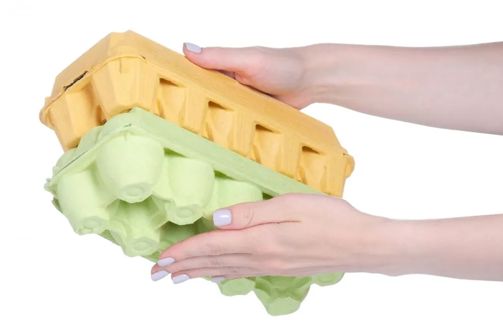 Empty,Box,For,Eggs,In,Hand,On,White,Background,Isolation