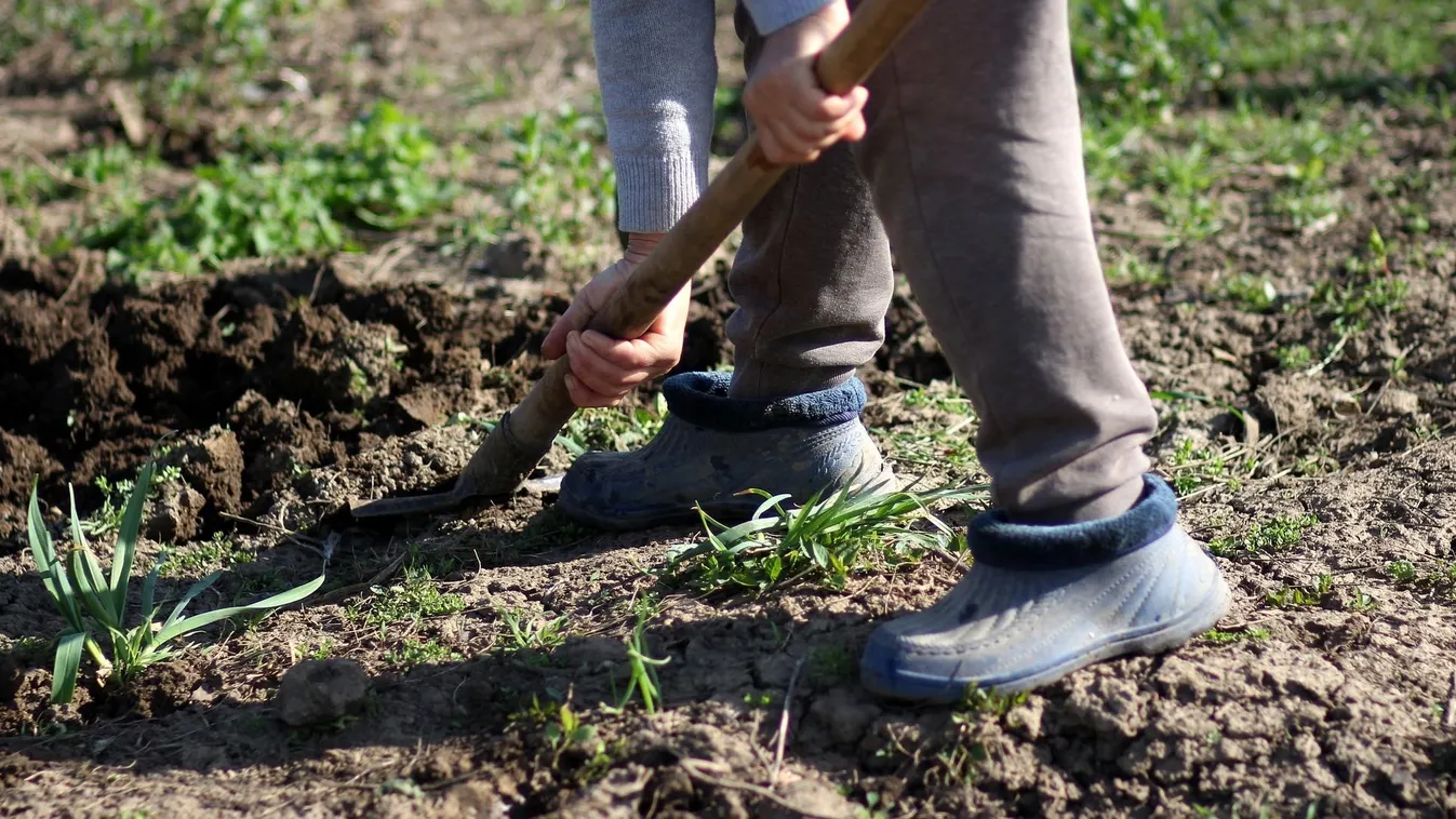 Téli teendők a kertben: ezt a 6 dolgot mindenképp végezd el!