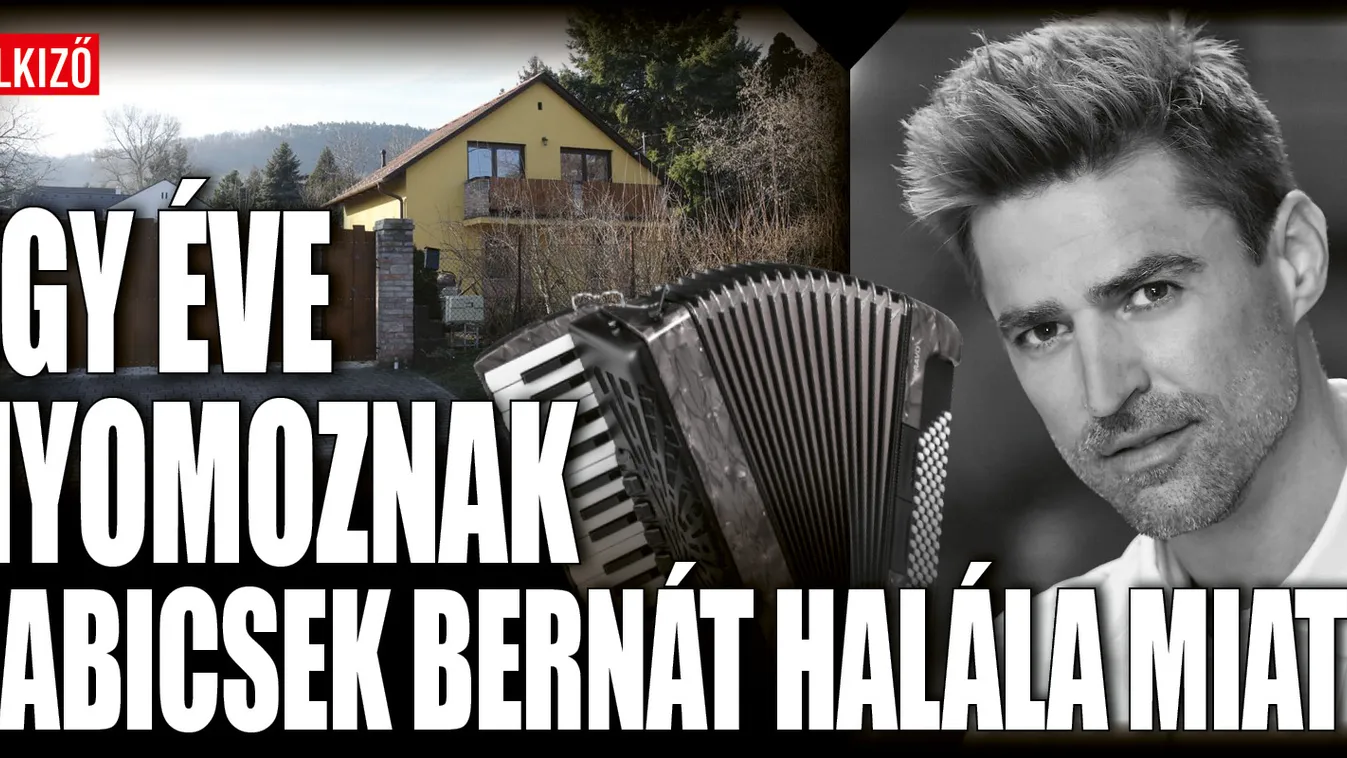 Babicsek Bernát édesanyja rendőrségre vitte fia halálának rejtélyét