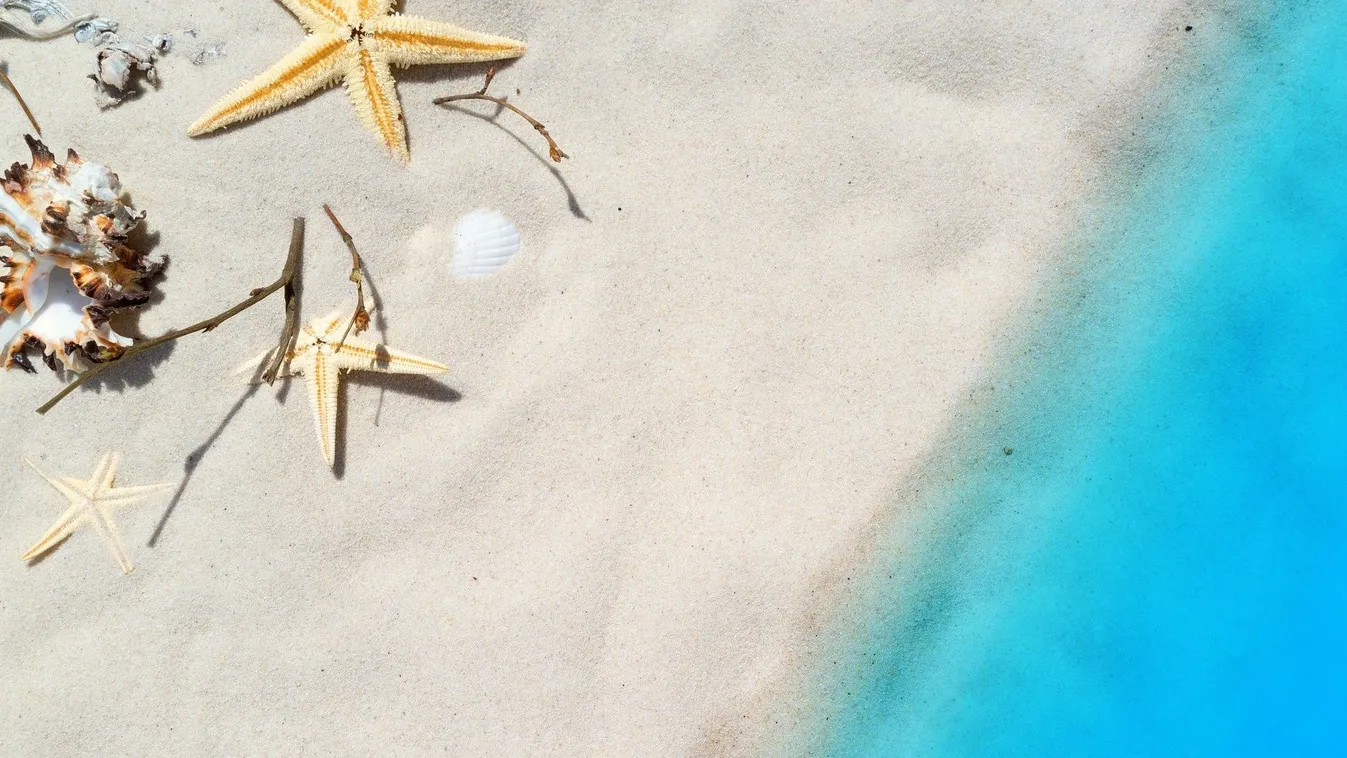 Utazz stressz- és problémamentesen, akár a gyermekeddel is! (x)