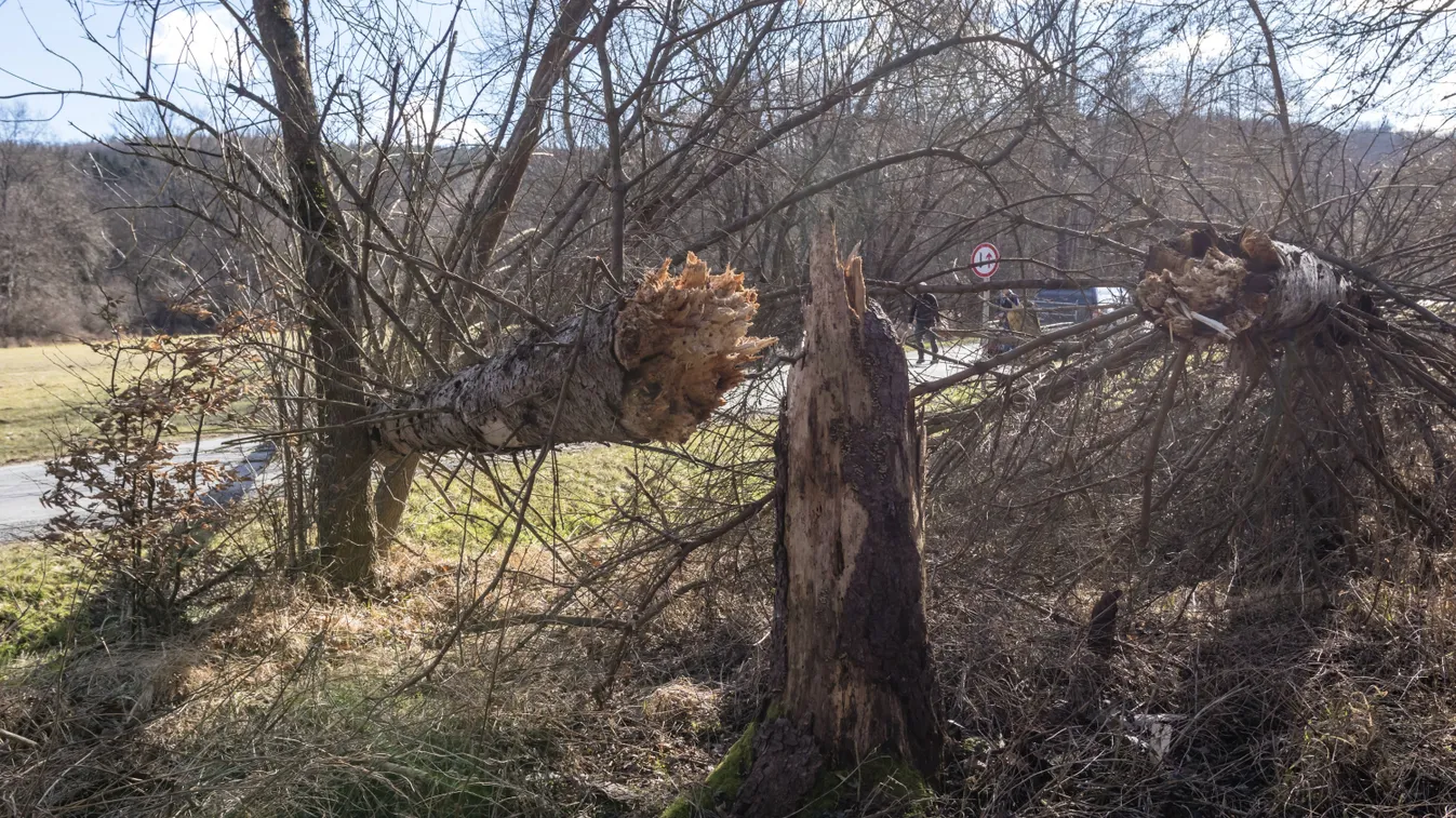 Már azt hittük itt a tavasz, de ekkor jön az újabb lehűlés