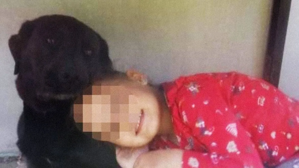 Bolyhos és kis gazdája