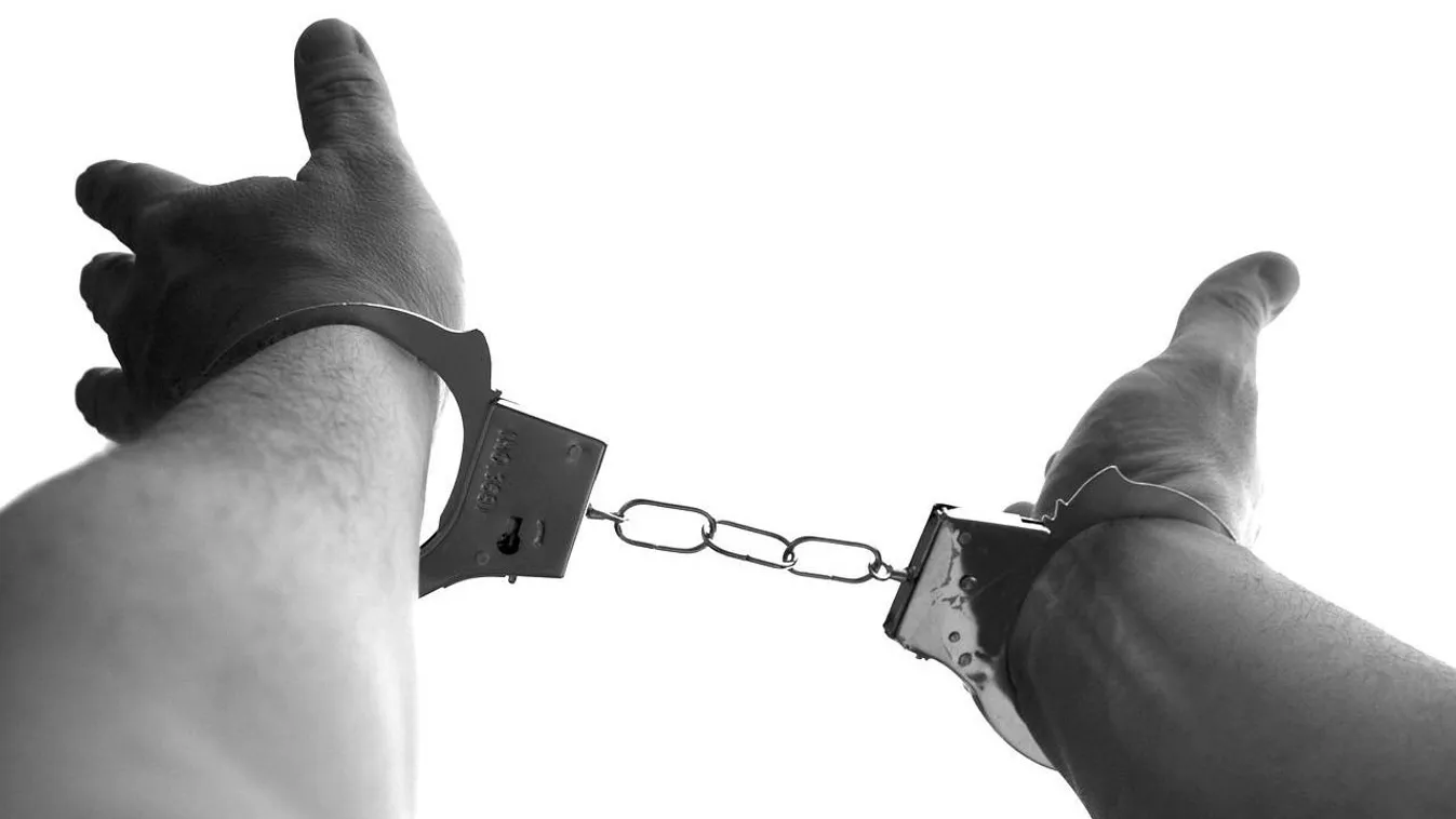 Így fogták el a rendőrök a viperás támadókat