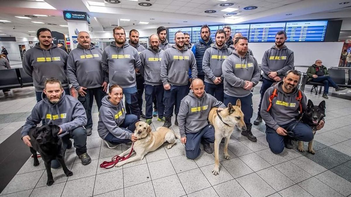 Ők a négylábú hősök, akik a törökországi földrengésnél életeket mentettek