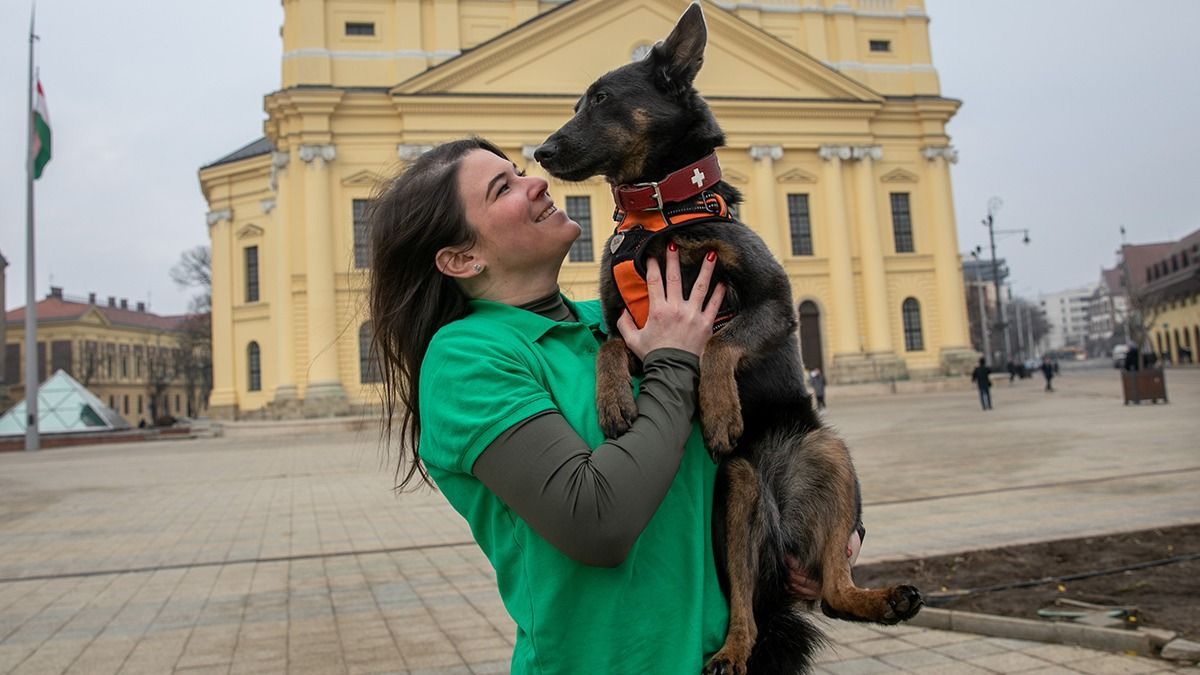 Gyászterápia volt az életmentés a magyar mentőkutyásnak Törökországban