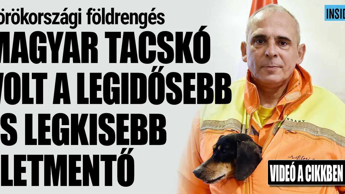 Nemcsak a legkisebb, a legöregebb mentőkutya is Smile volt