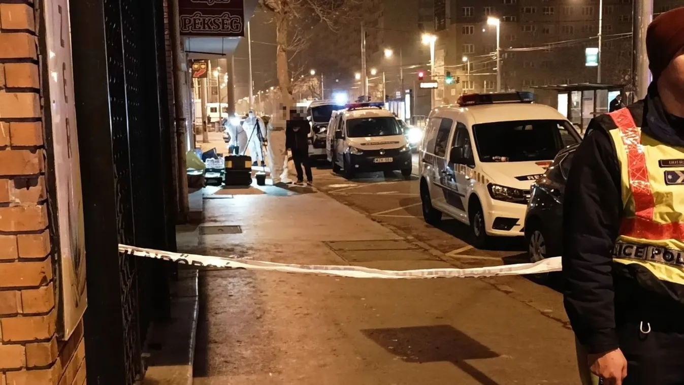 Nem engedik ki az elmegyógyintézetből a rendőrgyilkost