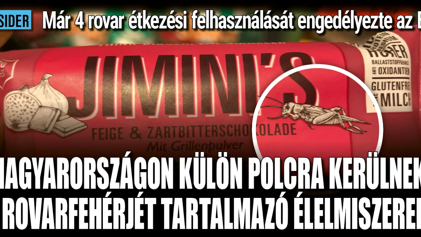 Tényleg E-számnak álcázzák majd a rovarokat az élelmiszerekben?