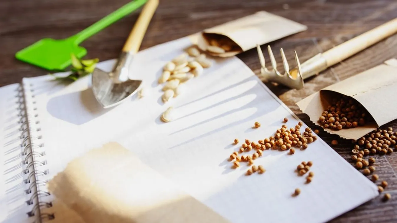  Indul a szezon, ezt kell most tenned a kertben