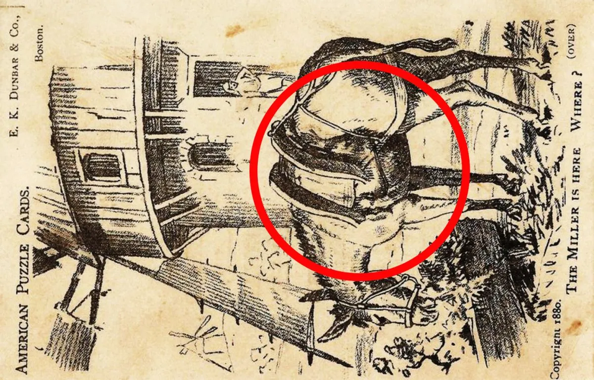 Képrejtvény megoldás