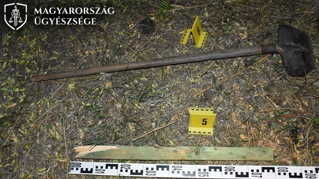 „A tulajdonom vagy!” – kiáltotta az ásóval támadó férfi