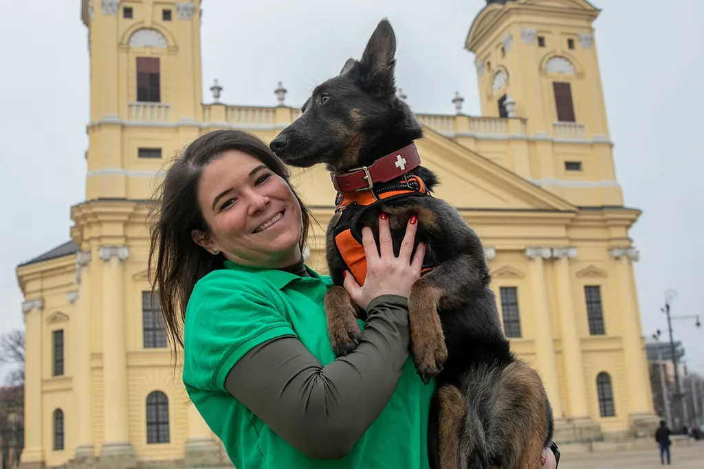 Kovács Ilka, Níla, kutya, mentő kutya, mentőkutya, törökország, földrengés