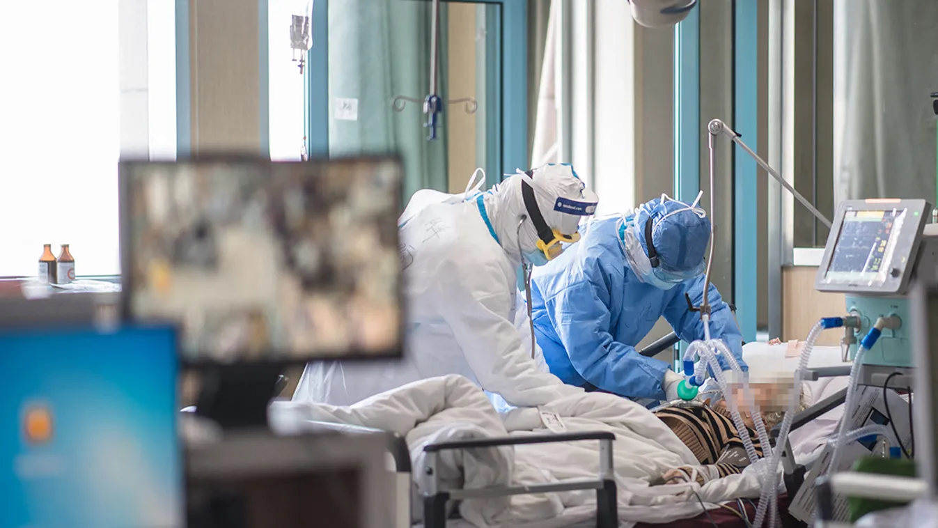 Koronavírus-gyógyítás: sikeres eredménnyel zárult a magyar kutatás