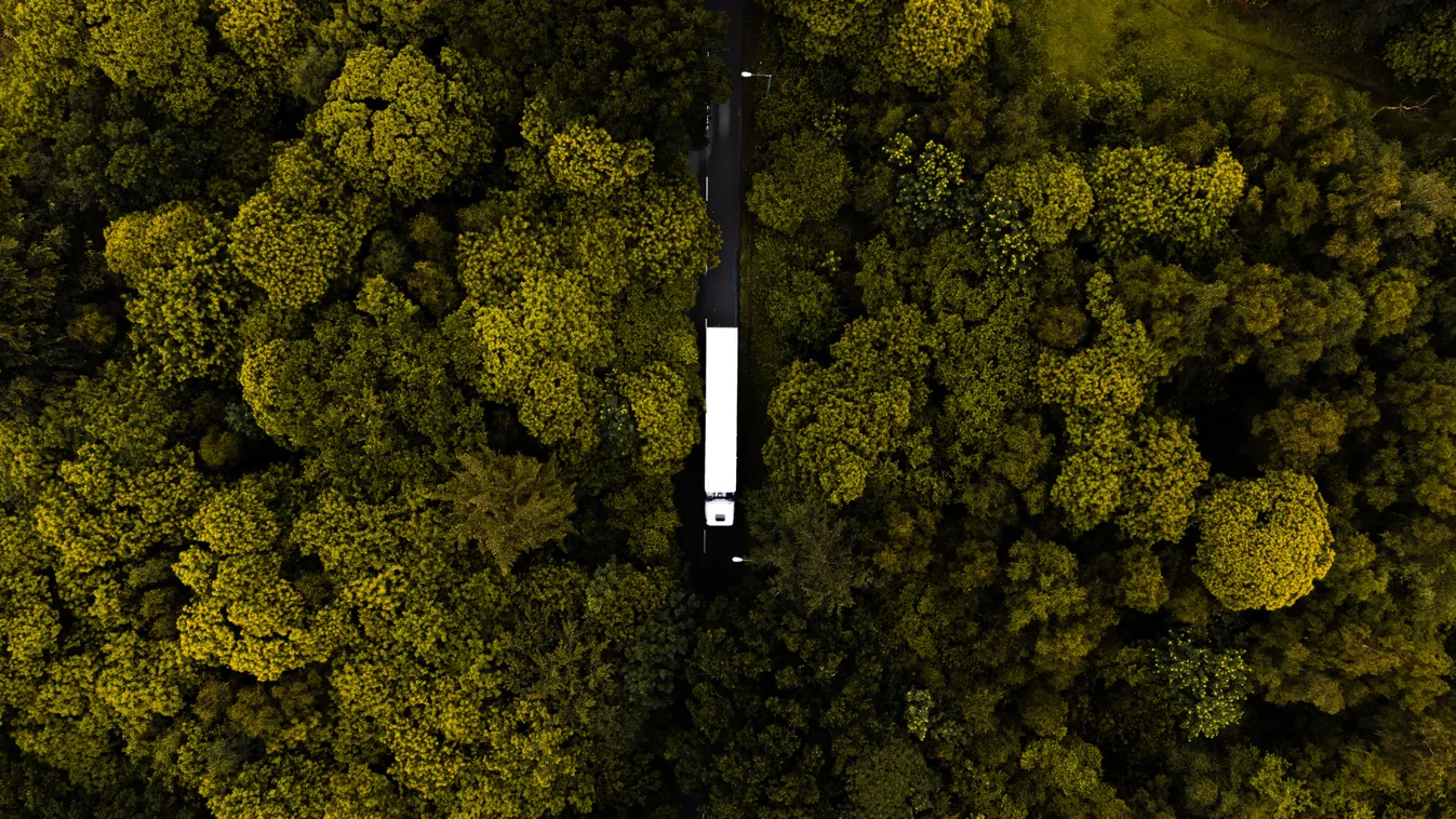 igránsok holttestét fedezték fel egy teherautóban