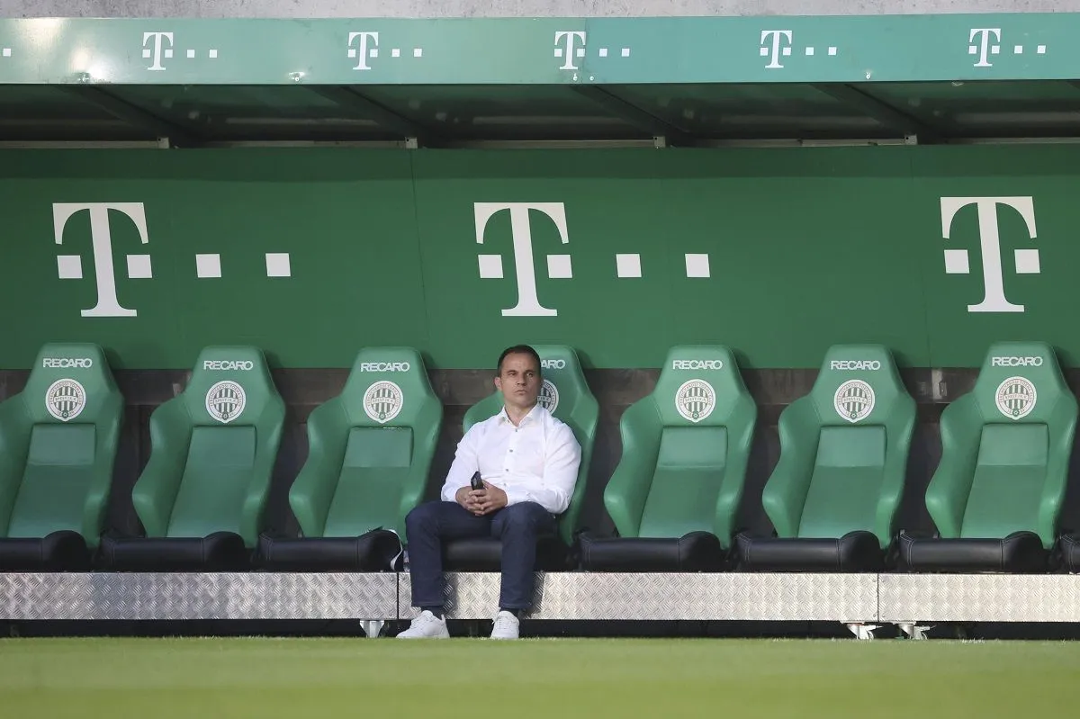 Hajnal Tamás, a Fradi sportigazgatója