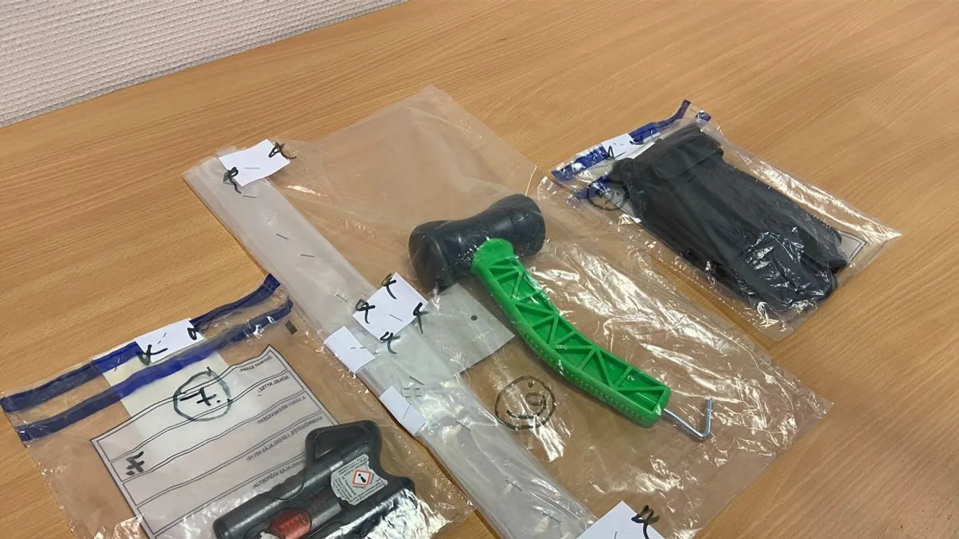 A budapesti viperás támadók német terroristák barátai