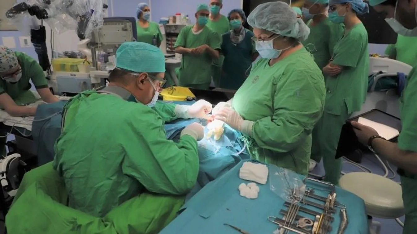 Csodát tesznek a szegedi egyetem sebészei