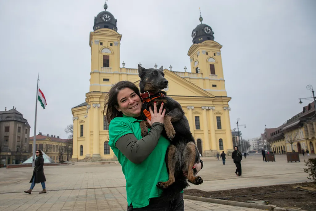 Kovács Ilka, Níla, kutya, mentő kutya, mentőkutya, törökország, földrengés