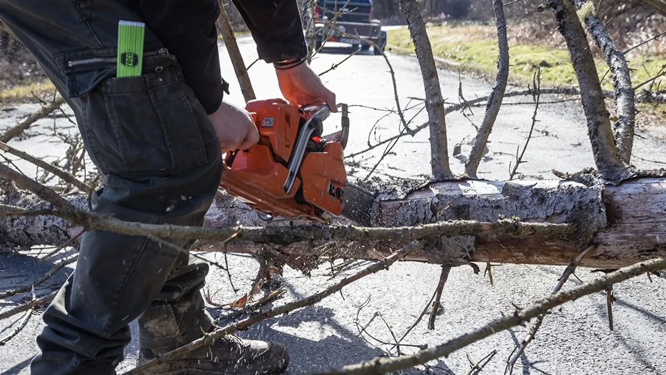 Viharkár: ki fizeti a kidőlt fa okozta kárt?