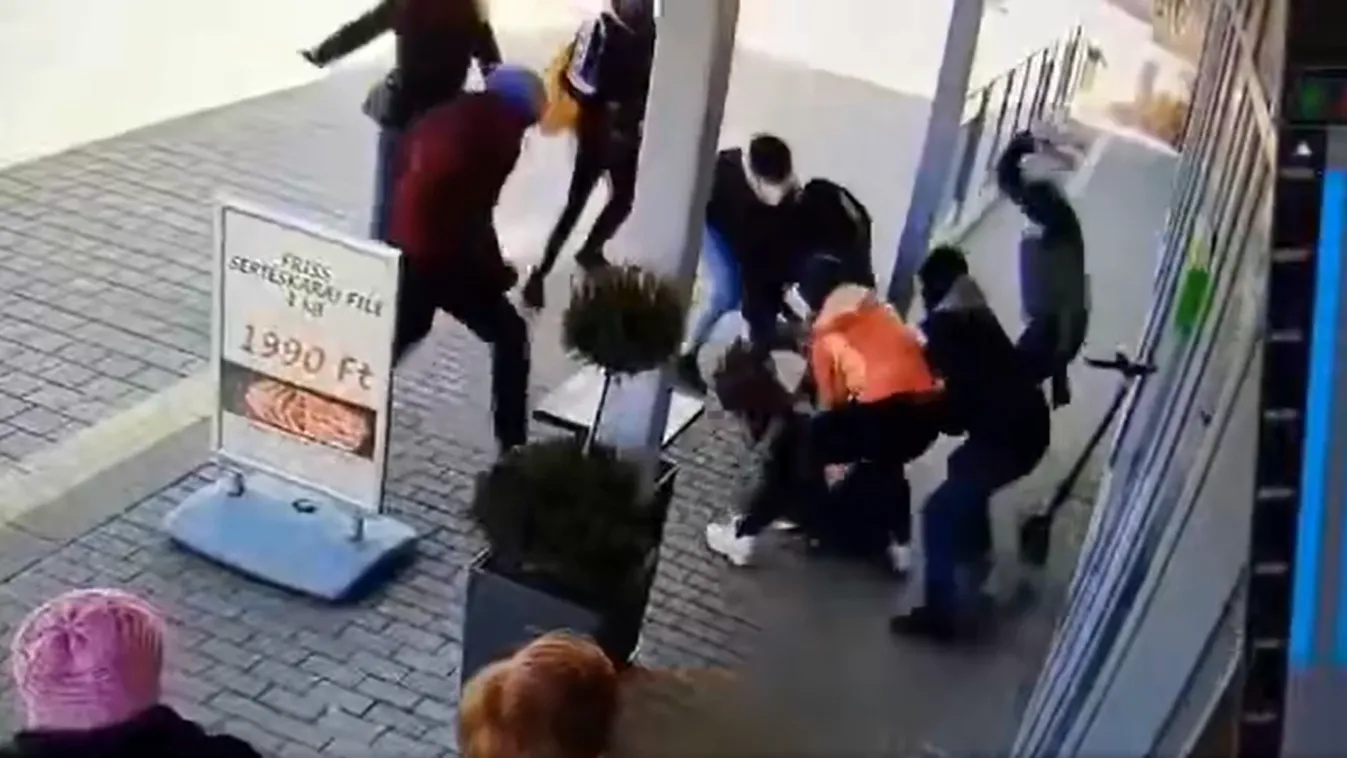 Tordai Bence barátja a viperás rámadó