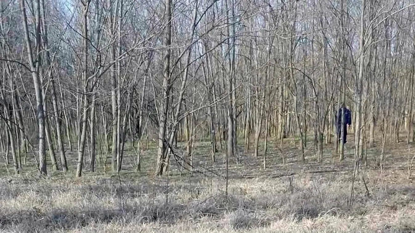 Megszólalt a darabokban heverő paksi holttest megtalálója