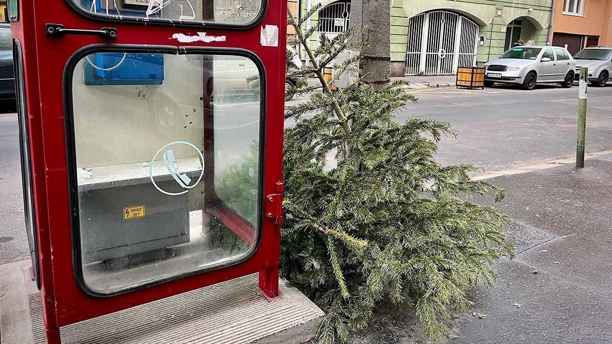 Ezt teszik az emberek a megunt karácsonyfákkal