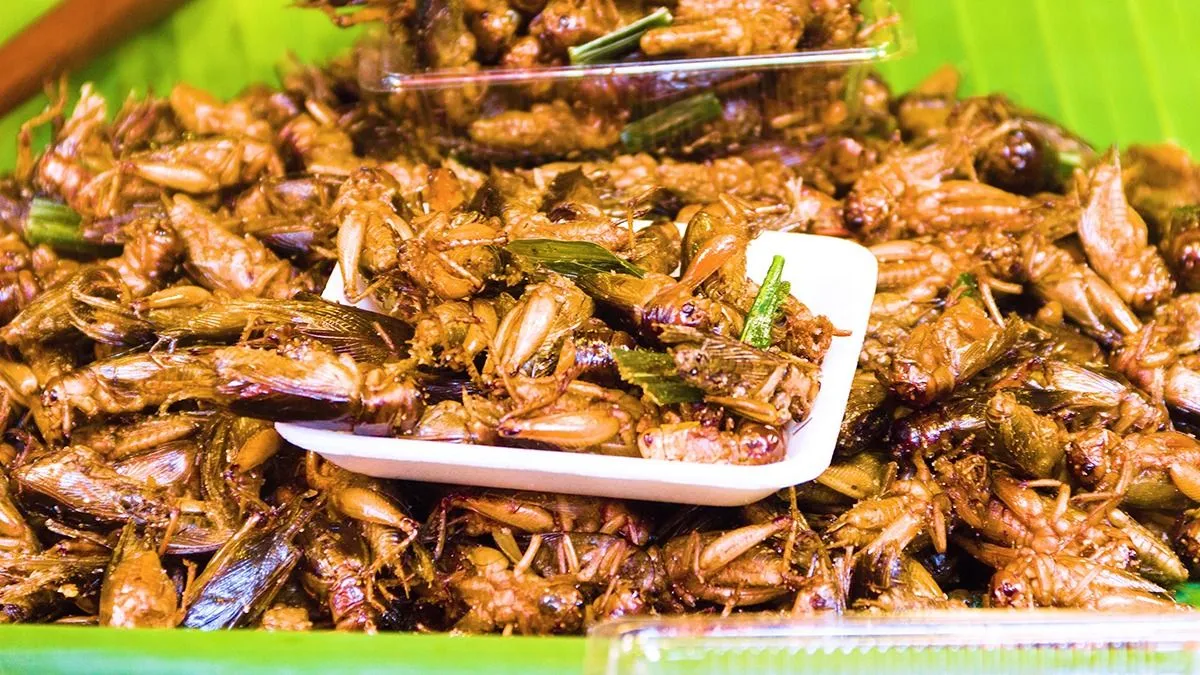 Exotic,Asian,Food,,Insect-based,Food,(protein,Nutrition).,Thai,Ancient,Cuisine.